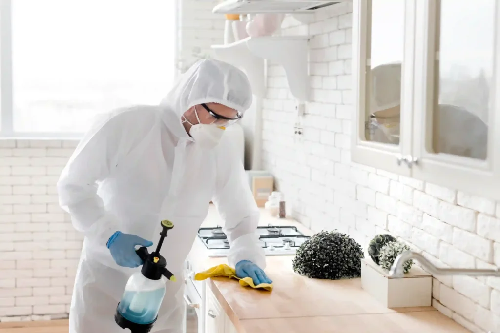 best kitchen cabinet cleaner